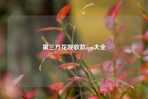 第三方花呗收款app大全