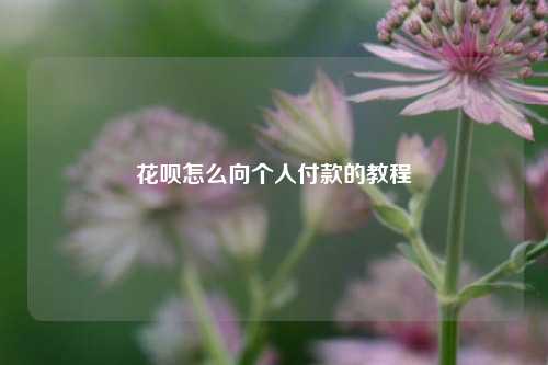 花呗怎么向个人付款的教程