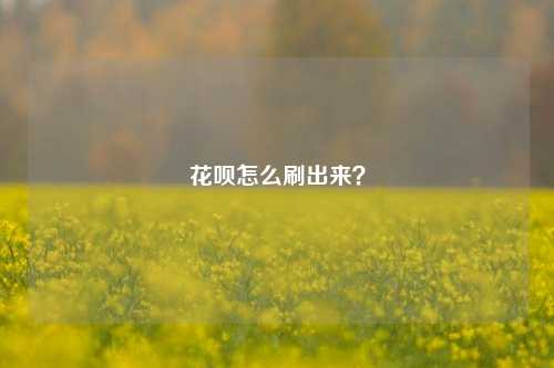 花呗怎么刷出来？