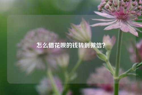 怎么借花呗的钱转到微信？