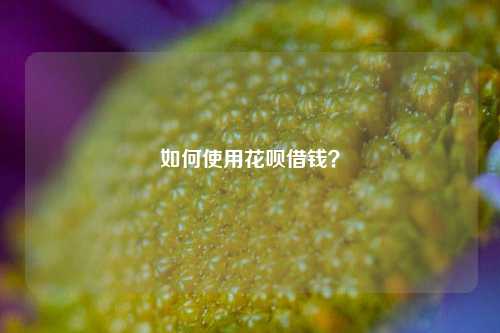 如何使用花呗借钱？