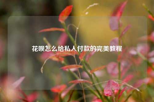 花呗怎么给私人付款的完美教程