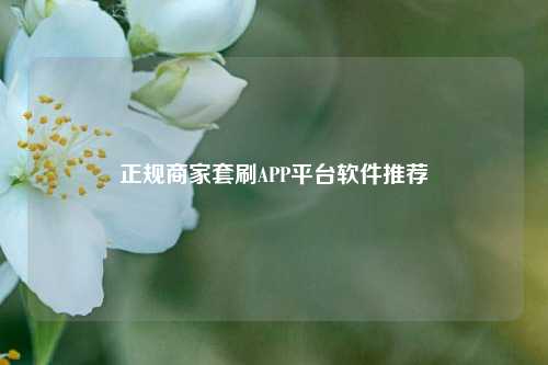 正规商家套刷APP平台软件推荐