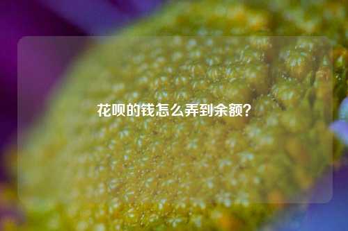 花呗的钱怎么弄到余额？