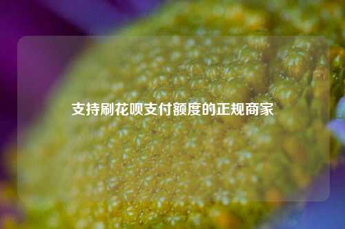 支持刷花呗支付额度的正规商家