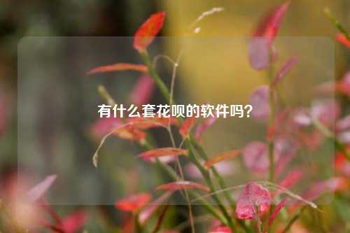 有什么套花呗的软件吗？