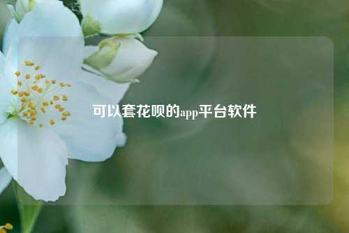 可以套花呗的app平台软件