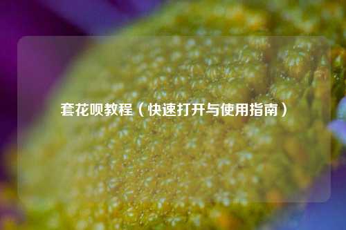 套花呗教程（快速打开与使用指南）