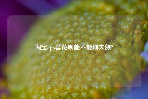 淘宝app套花呗能不能刷大额?