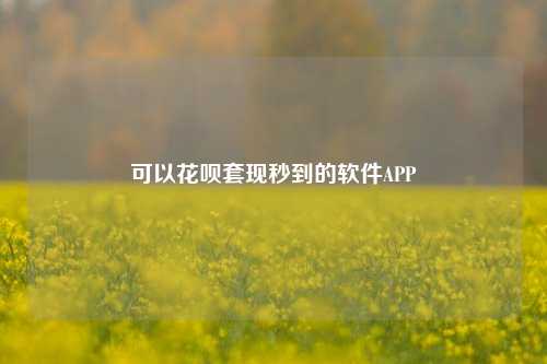 可以花呗套线秒到的软件APP