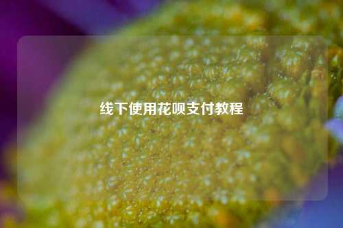 线下使用花呗支付教程