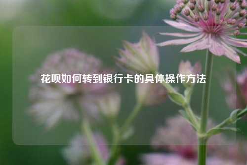 花呗如何转到银行卡的具体操作方法