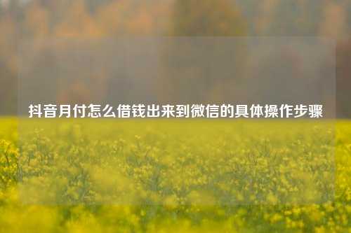 抖音月付怎么借钱出来到微信的具体操作步骤