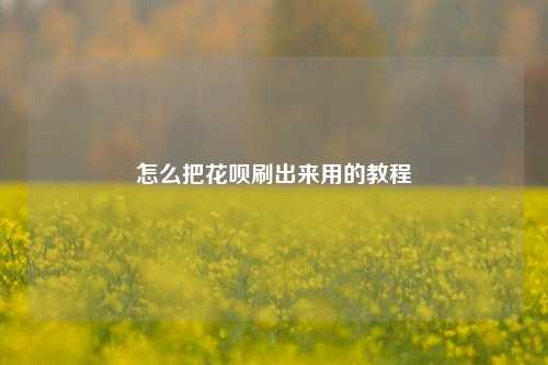 怎么把花呗刷出来用的教程