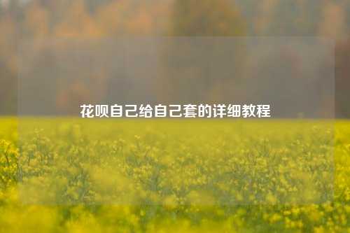 花呗自己给自己套的详细教程