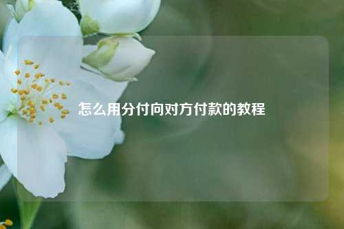 怎么用分付向对方付款的教程