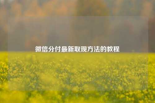 微信分付最新取现方法的教程