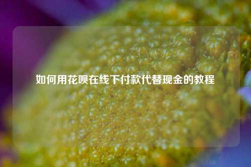 如何用花呗在线下付款代替现金的教程