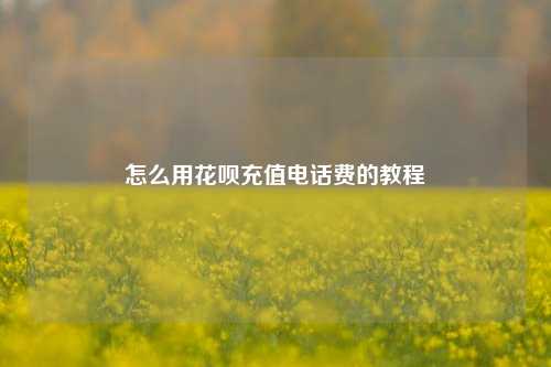 怎么用花呗充值电话费的教程