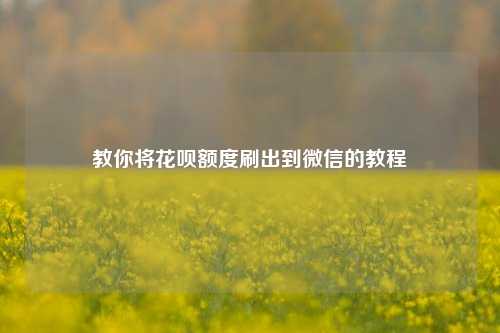 教你将花呗额度刷出到微信的教程