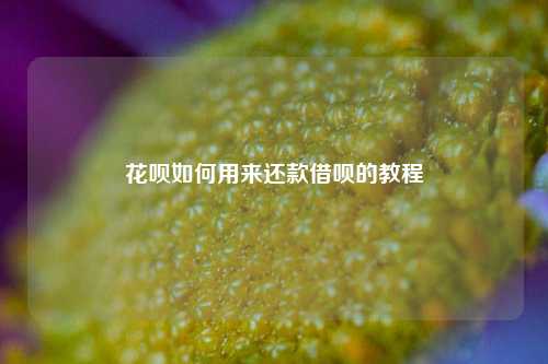 花呗如何用来还款借呗的教程