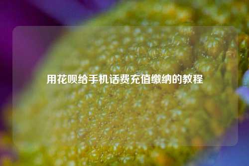 用花呗给手机话费充值缴纳的教程