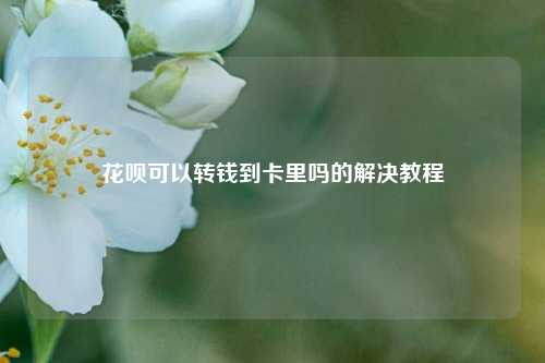 花呗可以转钱到卡里吗的解决教程