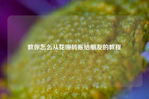 教你怎么从花呗转账给朋友的教程