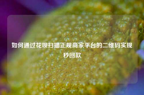 如何通过花呗扫描正规商家平台的二维码实现秒回款