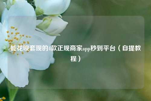 能花呗套现的4款正规商家app秒到平台（自提教程）