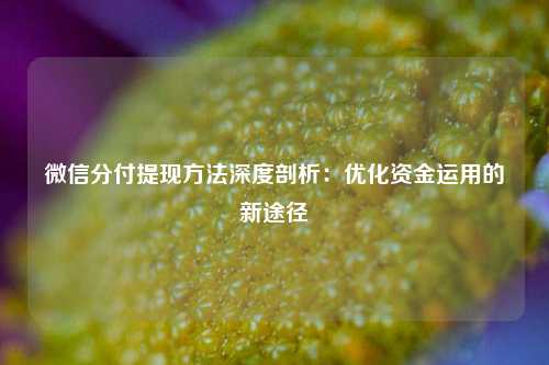 微信分付提线方法深度剖析：优化资金运用的新途径